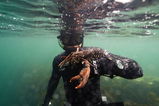 Fieldtrip Supplies Trigger Fish Blog Post.  Picture of a freediver underwater holding a lobster.