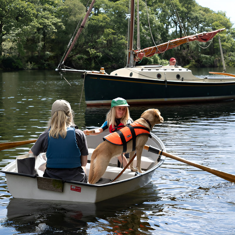 Fieldtrip Adventure Supplies